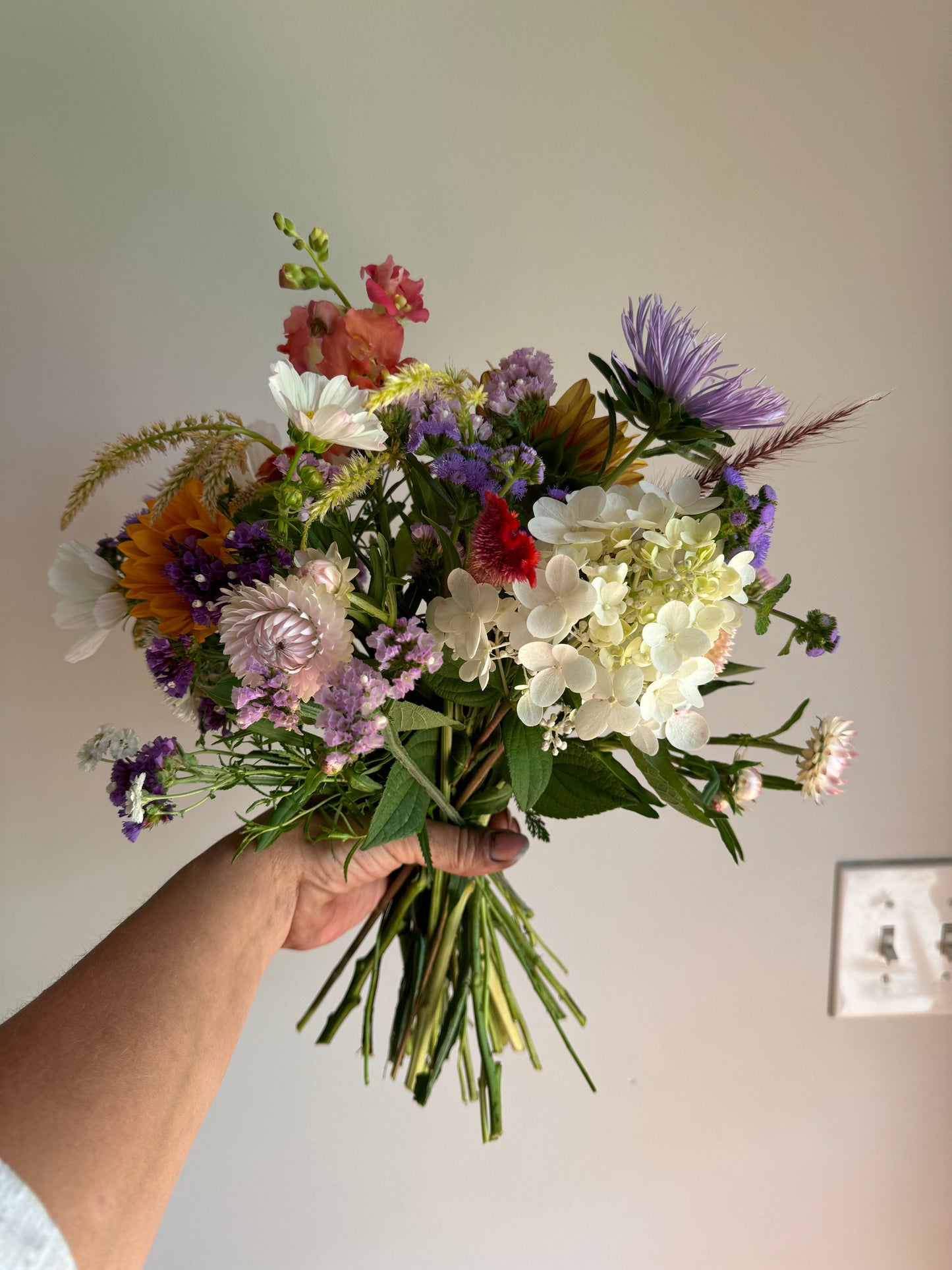 Bountiful Joy 6 Bouquet Subscription