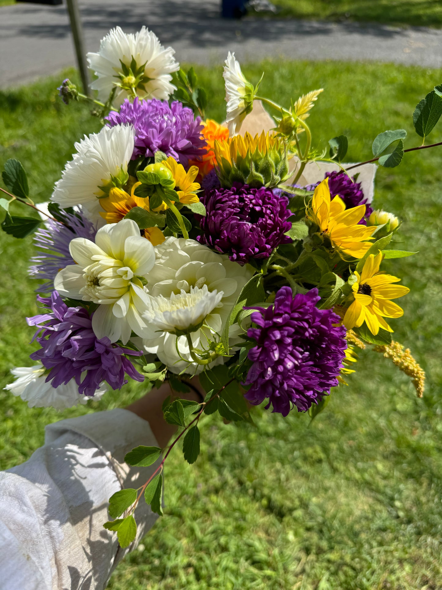 Bountiful Joy 6 Bouquet Subscription