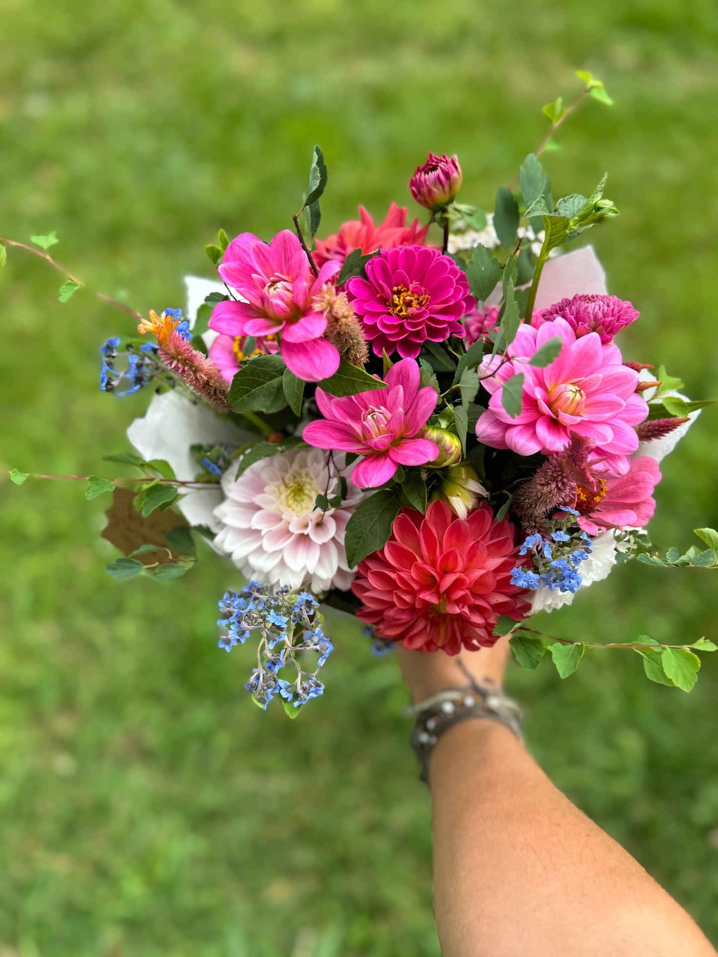 Everlasting Joy 12 Bouquet Subscription