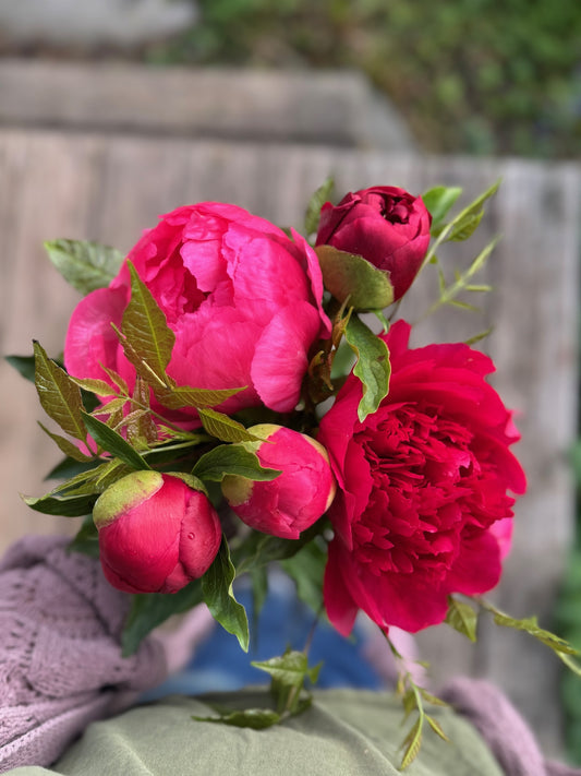 Peony Bouquet- 6/15 week Preorder